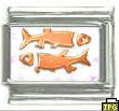 Pisces photo charm (20/2-20/3) 9mm Italian charm - Click Image to Close